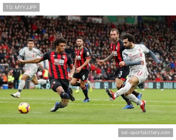 深度报道：沙特资本持续注入对多家中游英超球队战术风格选择的影响